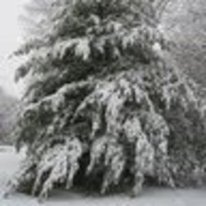 Meet your Posher, Kathy maxey